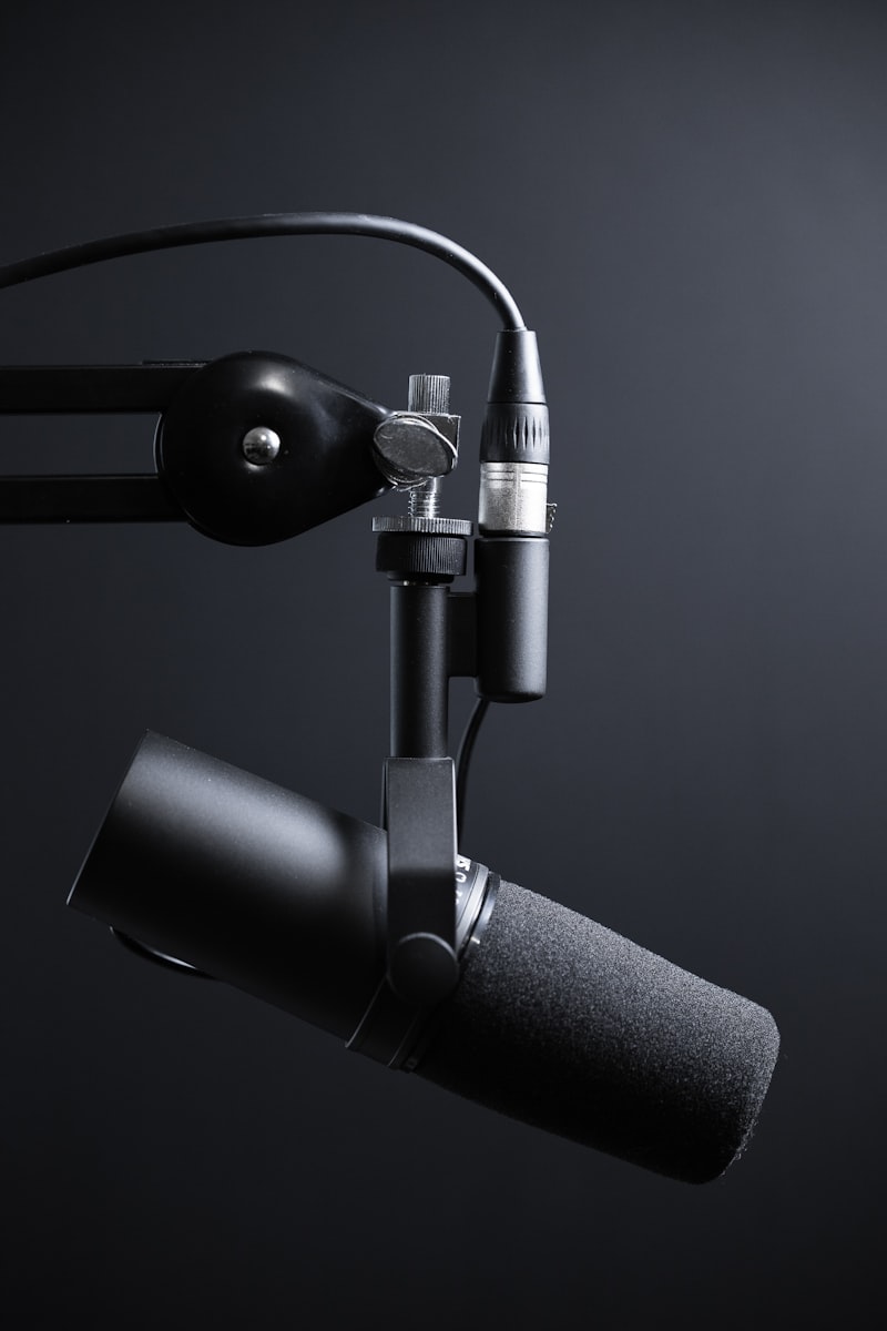 Professionelles Radiomikrofon im unbestreitbar edlen Studiodesign